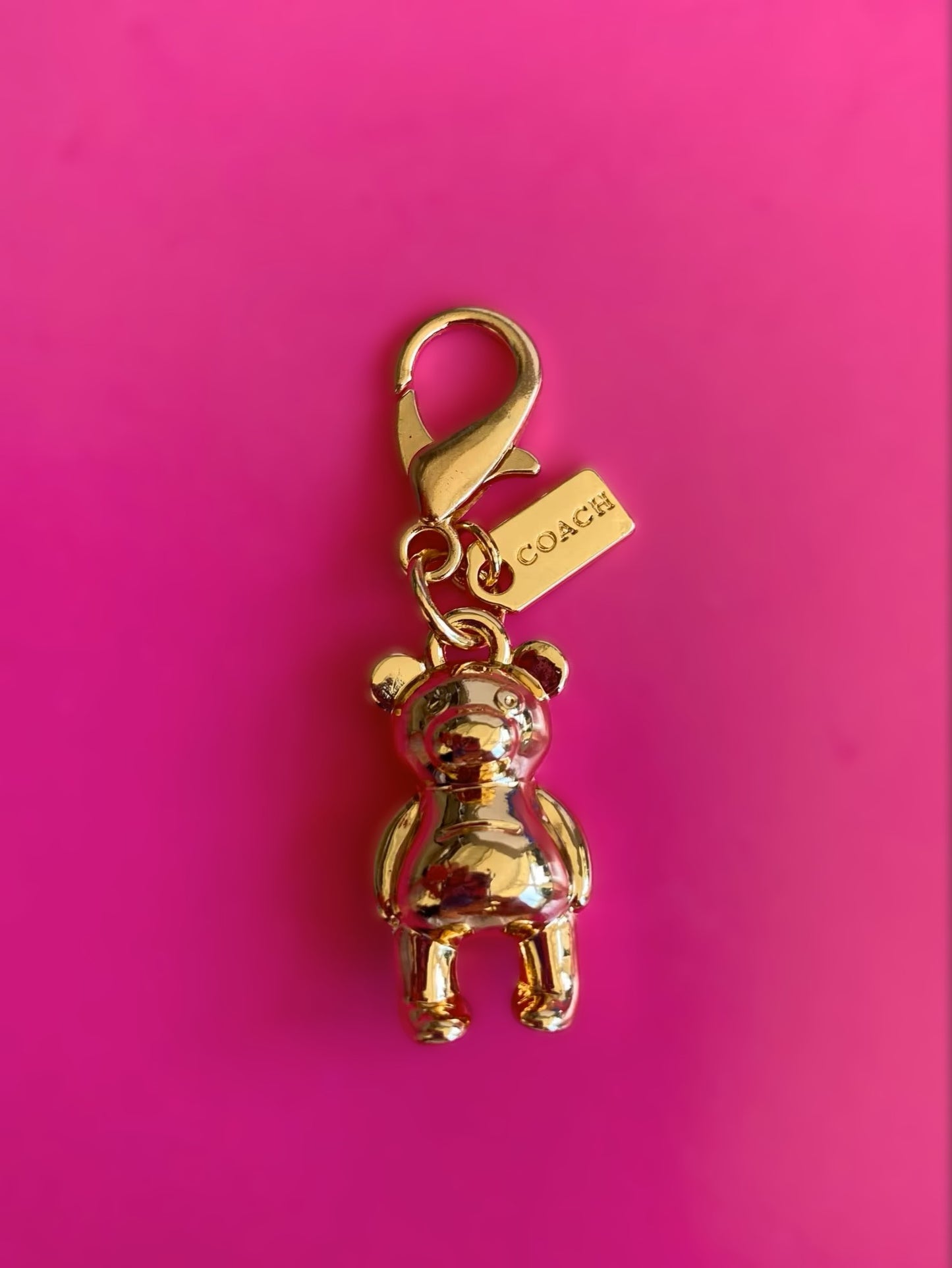 C✨ Bear Charm